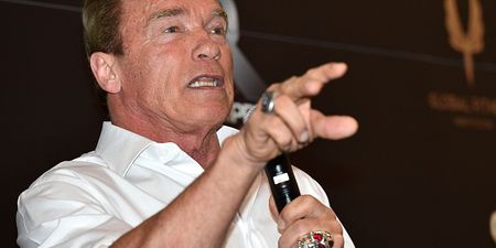 Arnold Schwarzenegger has an odd partner in crime
