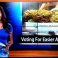 TV reporter who quit her job to run ‘Cannabis Club’ is predictably raided by police