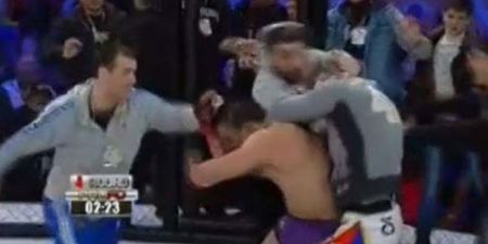 Video: Huge brawl breaks out in the cage at Russian MMA fight
