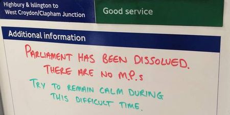 ‘There are no MPs: remain calm’ warns London transport network