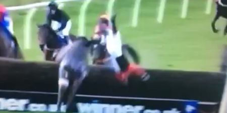 Vine: This jockey’s fall was nothing short of spectacular