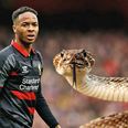 Raheem Sterling caught up in snake charming controversy