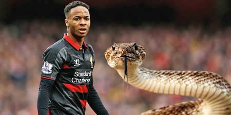 Raheem Sterling caught up in snake charming controversy