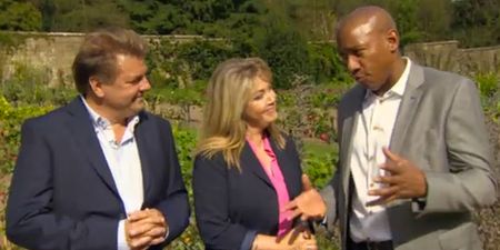 Dion Dublin’s Homes Under The Hammer debut lapped up by Twitter