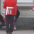 Video: Buckingham Palace guard takes a massive tumble in front of tourists