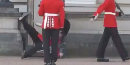 Video: Buckingham Palace guard takes a massive tumble in front of tourists