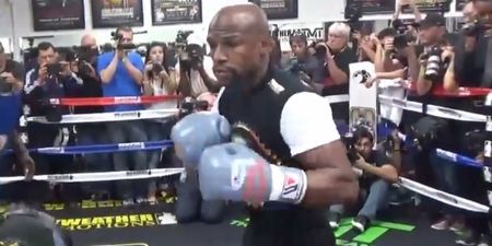Video: Mayweather looks mean and lean hitting the mitts during open workout