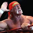 Hulk Hogan posts a picture of ‘HIV sufferer’ Cheryl Fernandez-Versini after tricked by Twitter troll