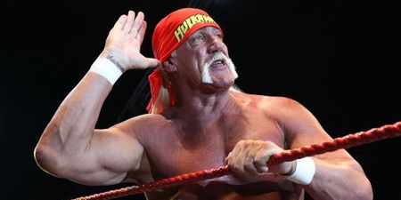 Hulk Hogan posts a picture of ‘HIV sufferer’ Cheryl Fernandez-Versini after tricked by Twitter troll