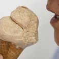 India’s Hitler ice cream cone branded ‘tasteless’