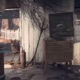 Video: Fans of futuristic franchise get first look at Fallout 4