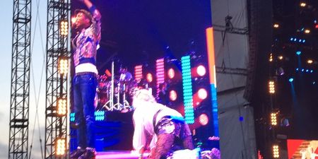 Body-popping B&B owner joins Pharrell on stage at Isle of Wight festival…