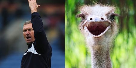 Former Leicester boss Nigel Pearson doesn’t like being called an ‘ostrich’ (Video)