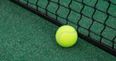 Pic: Wimbledon fan takes love of tennis too far by transforming into tennis ball