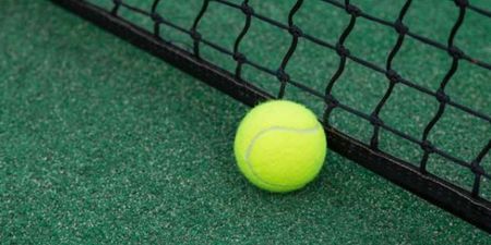 Pic: Wimbledon fan takes love of tennis too far by transforming into tennis ball