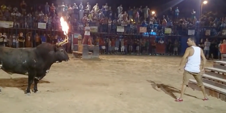 Man taunts bull with flaming horns and gets exactly what he deserves (Video)