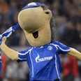 Schalke mascot enjoys a spot of pre-season waterskiing