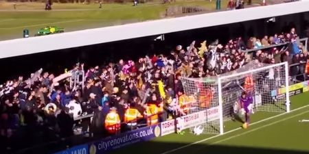Football fan prosecuted for hitting steward with inflatable shark (Video)