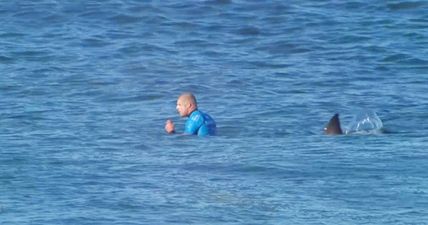 Chilling footage of pro surfer attacked by shark on live TV