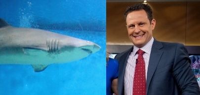 Fox News presenter makes a ridiculous suggestion for stopping shark attacks (Video)