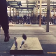 New hybrid sport combines American football with ten-pin bowling