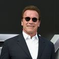WWE game adds Arnold Schwarzenegger’s Terminator as a playable character
