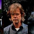 How does Hollywood star William H Macy not flinch taking fire from this fruit catapult? (Video)