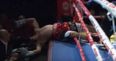 Pow! Brutal knock-out sees boxer punched out the ring into the front row (Video)