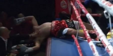 Pow! Brutal knock-out sees boxer punched out the ring into the front row (Video)