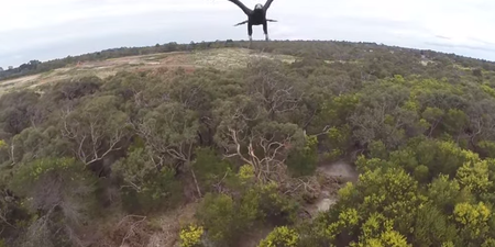 There can only be one winner when an eagle takes on a drone (Video)