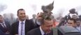 Turkish president has a tete-a-tete with an angry bird (Video)