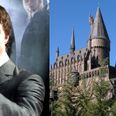 This lad applied for a place at Hogwarts…the UCAS response he got was brilliant