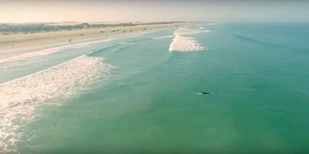 Drone captures surfers’ close encounter with shark