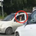 Instant karma for this driver’s middle-finger gesture (video)