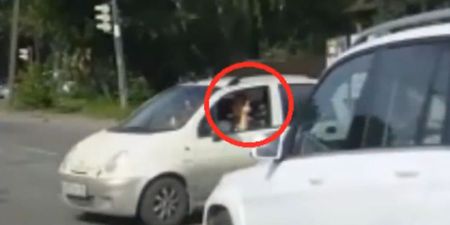 Instant karma for this driver’s middle-finger gesture (video)