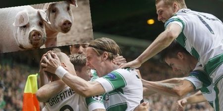 Malmo are seriously p*ssed off with Celtic after their fiery Champions League clash…