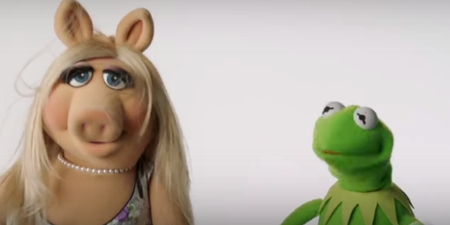 Watch Miss Piggy lose her s**t with Kermit in new Muppets teaser (Video)
