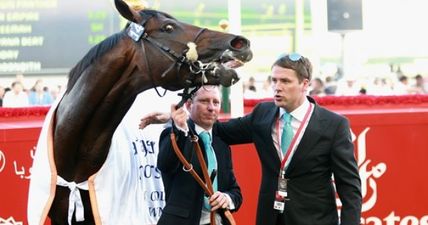 Michael Owen pays emotional tribute after death of “most brilliant horse”