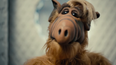 American professor trolls students with Alf reference in course syllabus
