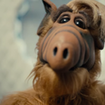 American professor trolls students with Alf reference in course syllabus