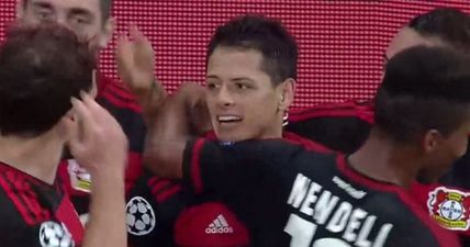 Chicharito finds the net for Bayer Leverkusen again – should Man United have kept him?
