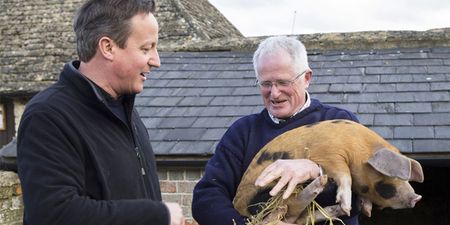 Monarch accused of bestiality was the spitting image of David Cameron (Pic)