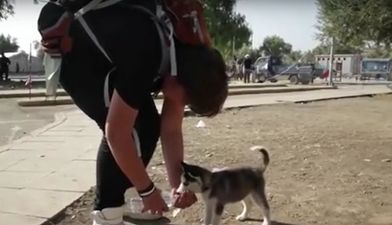 The Syrian boy who refused to be parted with his dog (Video)