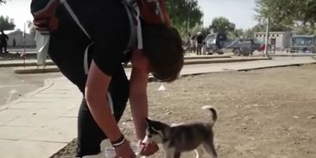 The Syrian boy who refused to be parted with his dog (Video)