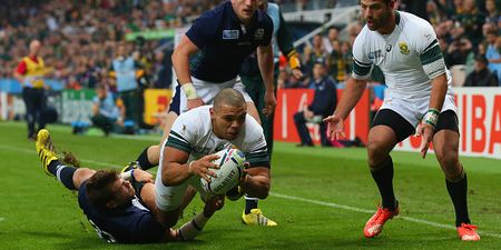 Scotland v South Africa player ratings