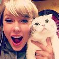 Here’s the proof the world officially loves Taylor Swift