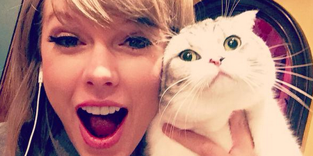 Here’s the proof the world officially loves Taylor Swift