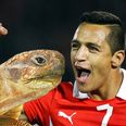 Nothing can stop Alexis Sanchez scoring – even a voodoo tortoise (Video)
