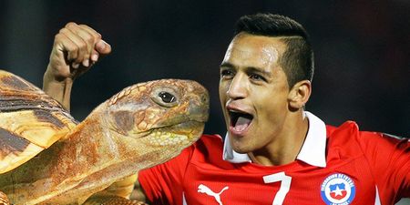 Nothing can stop Alexis Sanchez scoring – even a voodoo tortoise (Video)