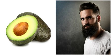 The internet went into absolute meltdown over this ridiculous hipster headline about avocados